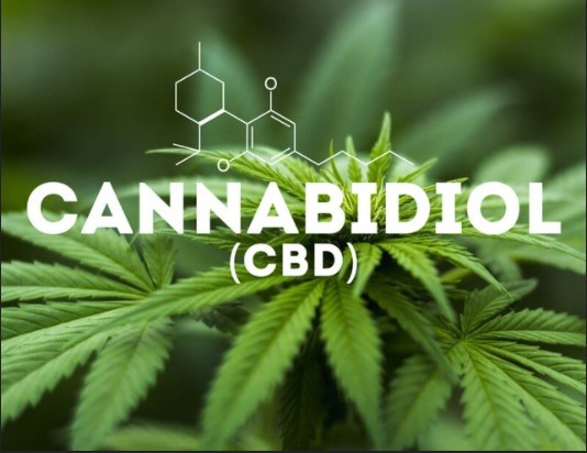 cannabidiol